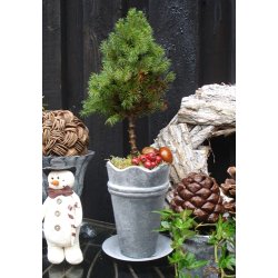 Jernskjuler med blget kant