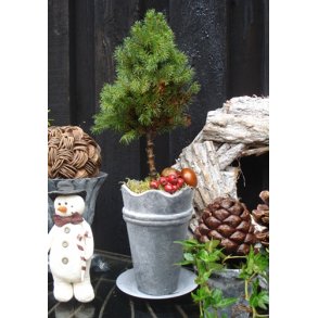 Jernskjuler med blget kant