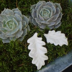 Blad, stort (3 stk.)