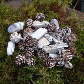 Kogler og agern, frostet look