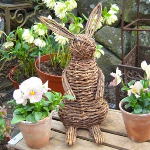 P�skehare i pileflet (Model A)