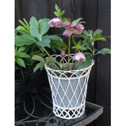 Potte, fil de fer med zinkindsats