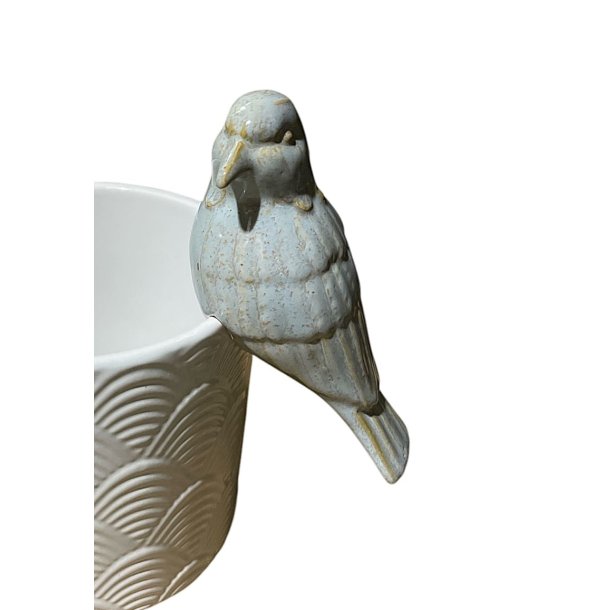 Fugl, bl