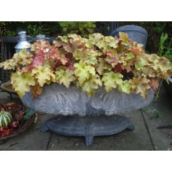 Stbejernskrukke, oval, gr. Stor