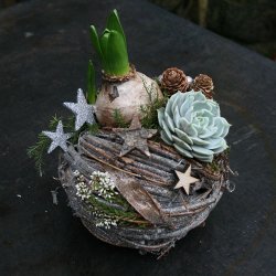 Snebold, Plastforet kurv