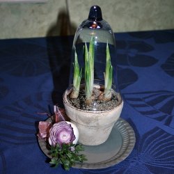 Glasklokke, med blt skr