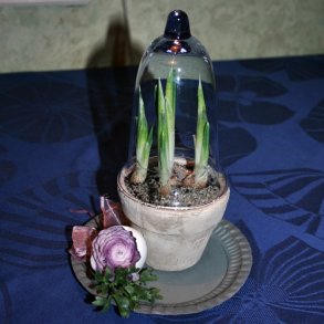 Glasklokke, med bl�t sk�r