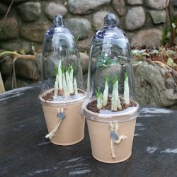 Glasklokke, med blt skr