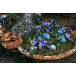 Opsats, stbejern, lav