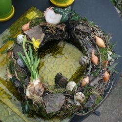 P�skeh�ne i tr�