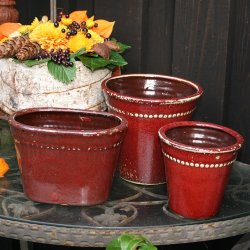 Potte, bordoux, lille 