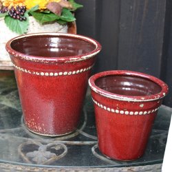 Potte, bordoux, lille 