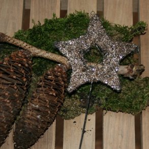 Glimmerstjerne p� pind 