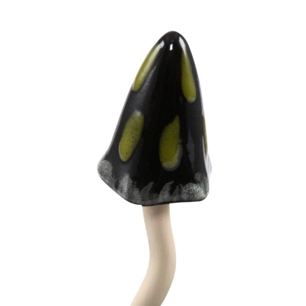 Svampe, grn (3 stk.)