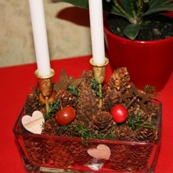 Glassk&aring;l, aflang