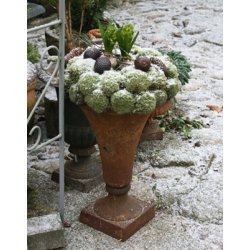 Stbejernskrukke, trompet (46 cm)