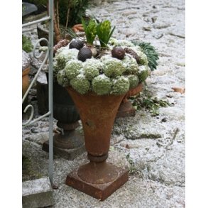 Stbejernskrukke, trompet (46 cm)