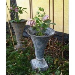 Stbejernskrukke, trompet (35 cm)