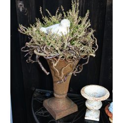 Stbejernskrukke, trompet (35 cm)