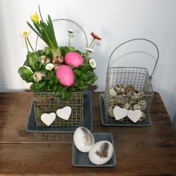 Zinkfad, firkantet (3 stk.)