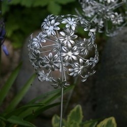 Metalblomst, allium