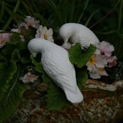 Due, hvid cement (3 stk.)