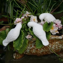 Due, hvid cement (3 stk.)