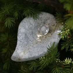 Aluminiumsblomst, calla