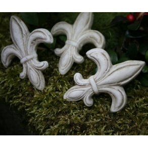 Fransk lilje (3 stk.)