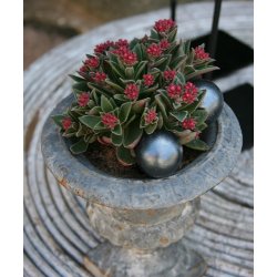 Keramikkugler, &Oslash;3, sorte(3 stk.)