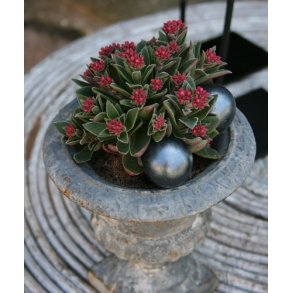 Keramikkugler, Ø3, sorte(3 stk.)