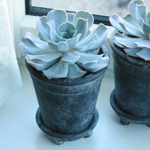 Potte med underskl, sort