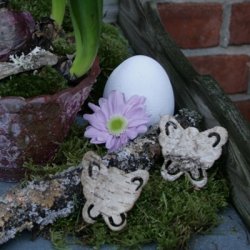 Bark sommerfugle. (20 stk.)