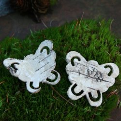 Bark sommerfugle. (20 stk.)