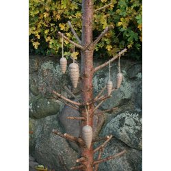 Kogle, tr/natur. Stor