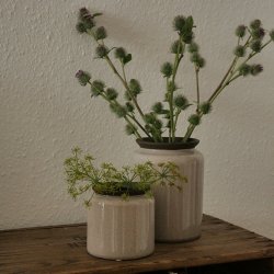 Krukke med uglaseret kant ( 11 cm)