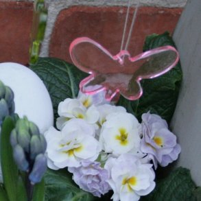 Sommerfugl i glas (pink)