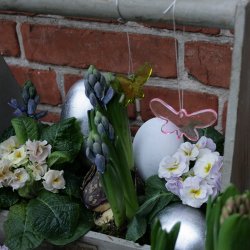 Sommerfugl i glas (lime)