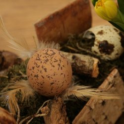 g med fjer, brune (3 stk.)