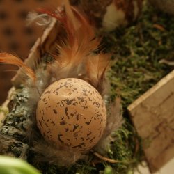 g med fjer, brune (3 stk.)