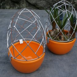 Gitterg m/orange potte