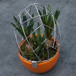 Gitterg m/orange potte