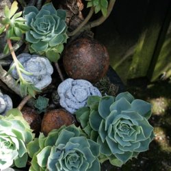 Rustkugle,  7 cm (2 stk.)