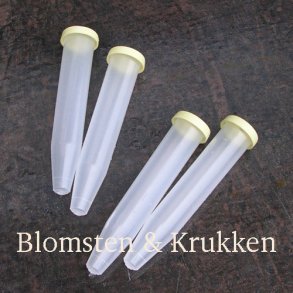 Orkiderr m/bld top, 4 stk.