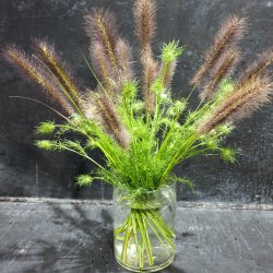 Hanataba Crystal Clear