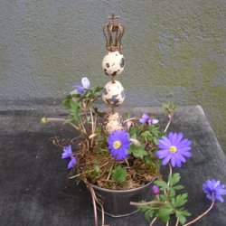 Stick med kongekrone, lille