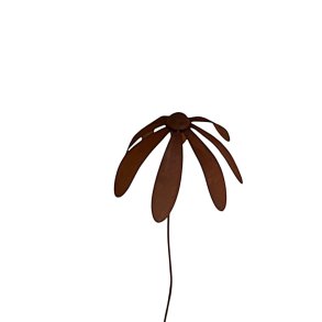 Rustblomst p� pind