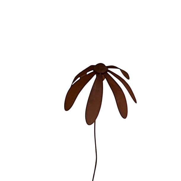 Rustblomst p� pind