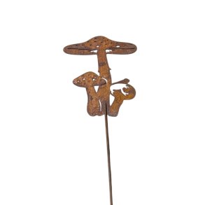 Rustsvampe p� pind