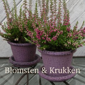 Minipotte med underskål (3 stk.)